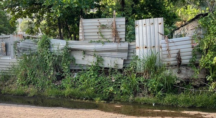 An overgrown boundary of old corrugated sheets