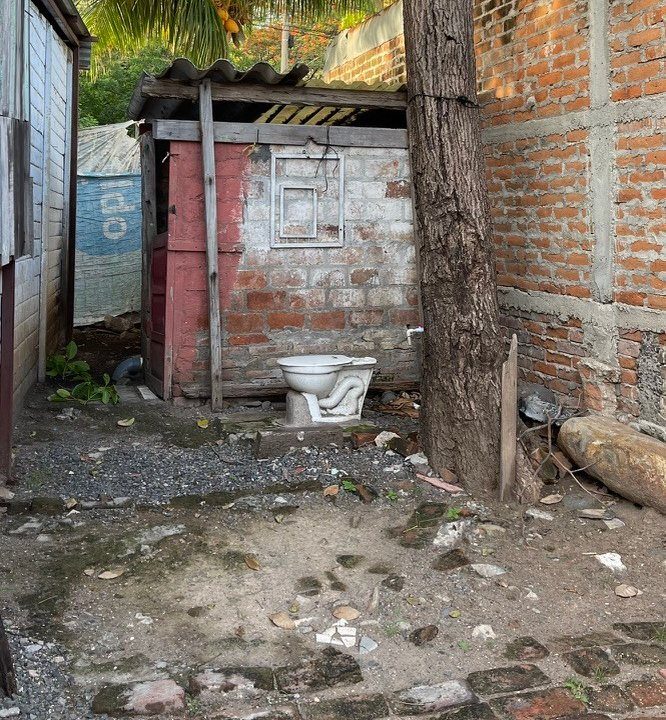 A small brick outhouse with an old toilet, under a palm