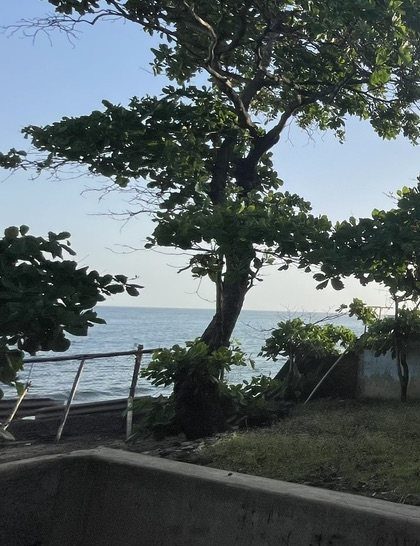 The edge of the old pool, with trees and the sea beyond